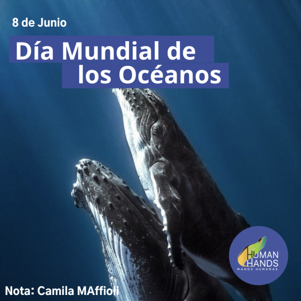 La matriz de nuestra existencia